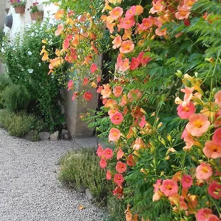Bed & Breakfast Les Trions Agnes-marcel Lancié